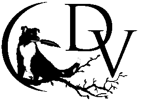 Voigtländer_Logo_Offiziell_klein